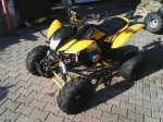 Bashan 250 CATBRIER 
