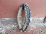 chomout-na-kone-1494538 