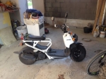 Honda Zoomer 