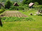 prodam-zahradu-1524332 