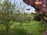prodej-zahrady-2040m2-prerov-ev-c-66191 
