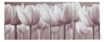 Tulipány obraz IKEA 