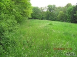 Vranovská přehrada-Lančov,st.poz. 90m2+5016 m2 zah 